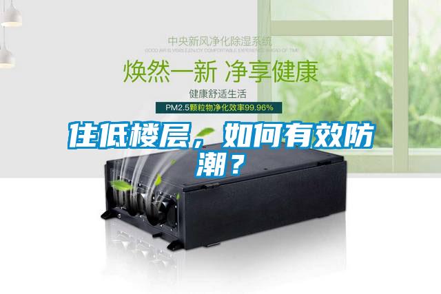 住低樓層，如何有效防潮？