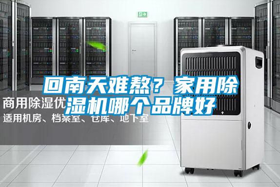 回南天難熬？家用除濕機(jī)哪個(gè)品牌好