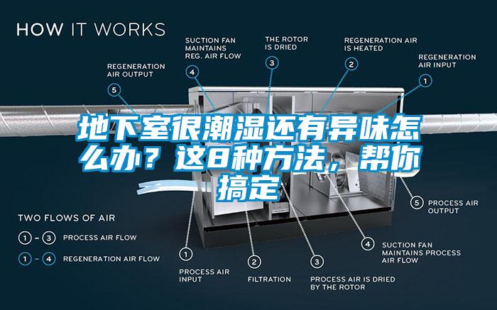 地下室很潮濕還有異味怎么辦？這8種方法，幫你搞定