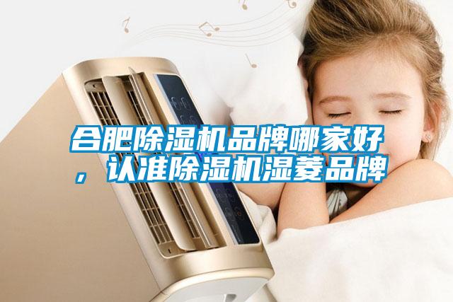 合肥除濕機(jī)品牌哪家好，認(rèn)準(zhǔn)除濕機(jī)濕菱品牌