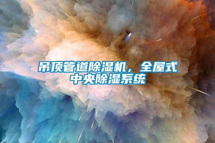 吊頂管道除濕機，全屋式中央除濕系統(tǒng)