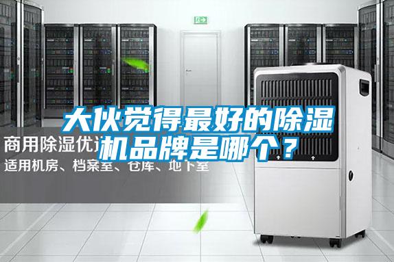 大伙覺(jué)得最好的除濕機(jī)品牌是哪個(gè)？