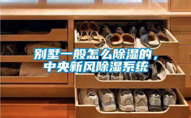別墅一般怎么除濕的，中央新風(fēng)除濕系統(tǒng)