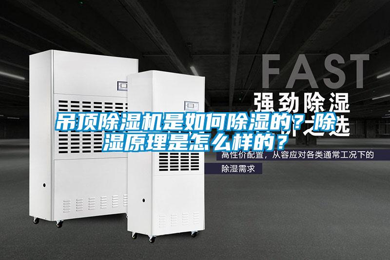 吊頂除濕機(jī)是如何除濕的？除濕原理是怎么樣的？