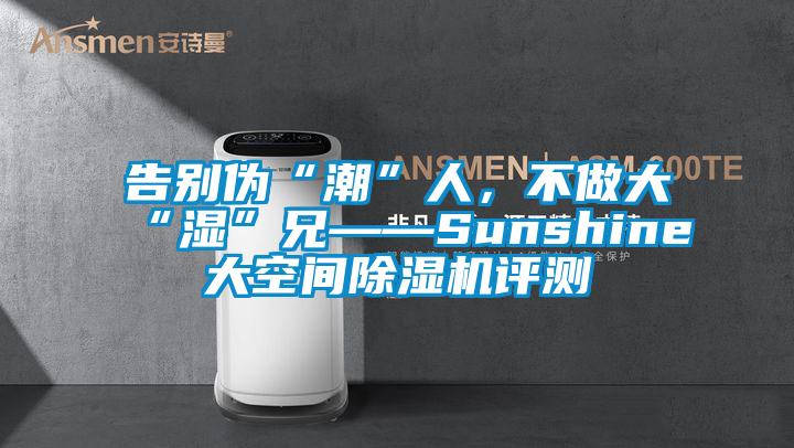 告別偽“潮”人，不做大“濕”兄——Sunshine大空間除濕機(jī)評測