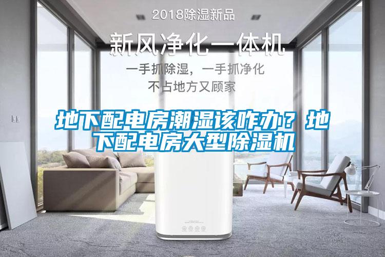 地下配電房潮濕該咋辦？地下配電房大型除濕機