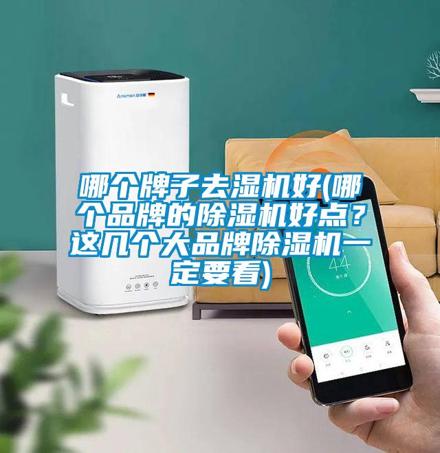 哪個牌子去濕機好(哪個品牌的除濕機好點？這幾個大品牌除濕機一定要看)