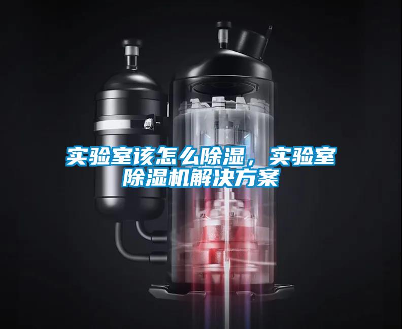 實(shí)驗(yàn)室該怎么除濕，實(shí)驗(yàn)室除濕機(jī)解決方案