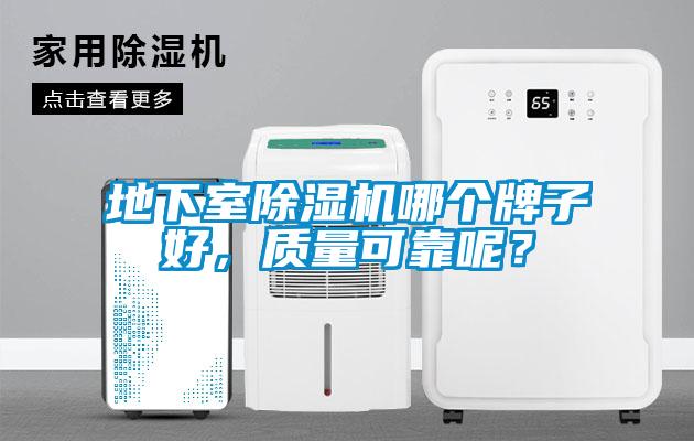 地下室除濕機哪個牌子好，質量可靠呢？