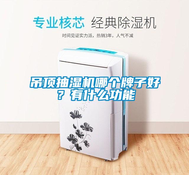吊頂抽濕機哪個牌子好？有什么功能