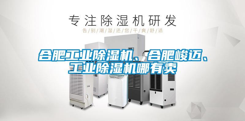 合肥工業(yè)除濕機(jī)、合肥峻邁、工業(yè)除濕機(jī)哪有賣