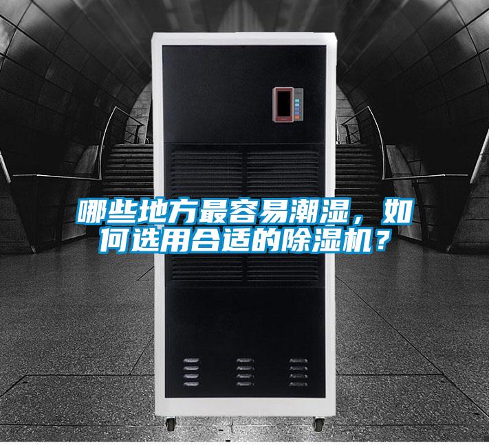 哪些地方最容易潮濕，如何選用合適的除濕機(jī)？