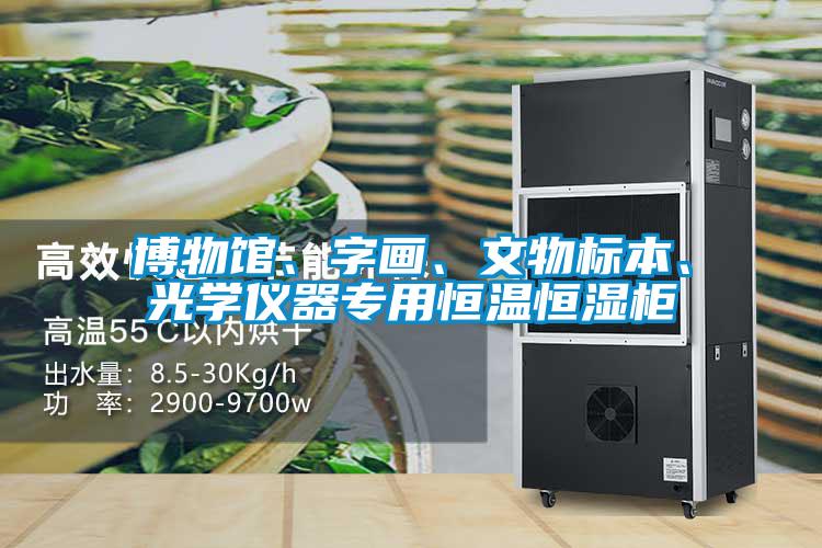 博物館、字畫、文物標(biāo)本、光學(xué)儀器專用恒溫恒濕柜