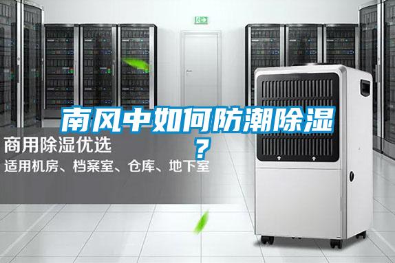 南風(fēng)中如何防潮除濕？