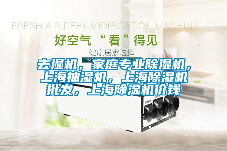 去濕機(jī)，家庭專業(yè)除濕機(jī)，上海抽濕機(jī)，上海除濕機(jī)批發(fā)，上海除濕機(jī)價(jià)錢