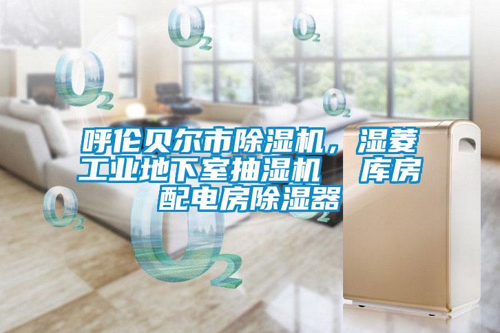 呼倫貝爾市除濕機(jī)，濕菱工業(yè)地下室抽濕機(jī)  庫(kù)房配電房除濕器