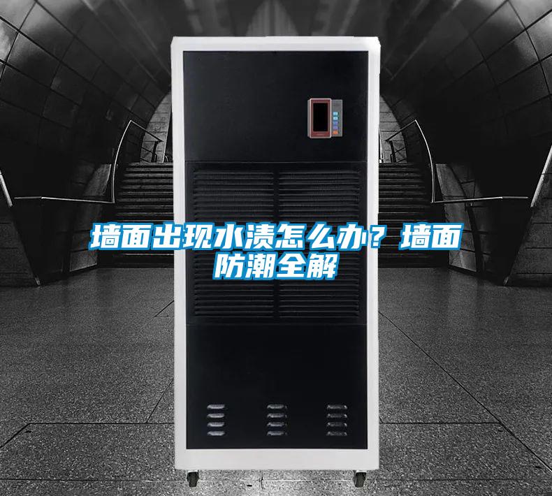 墻面出現(xiàn)水漬怎么辦？墻面防潮全解