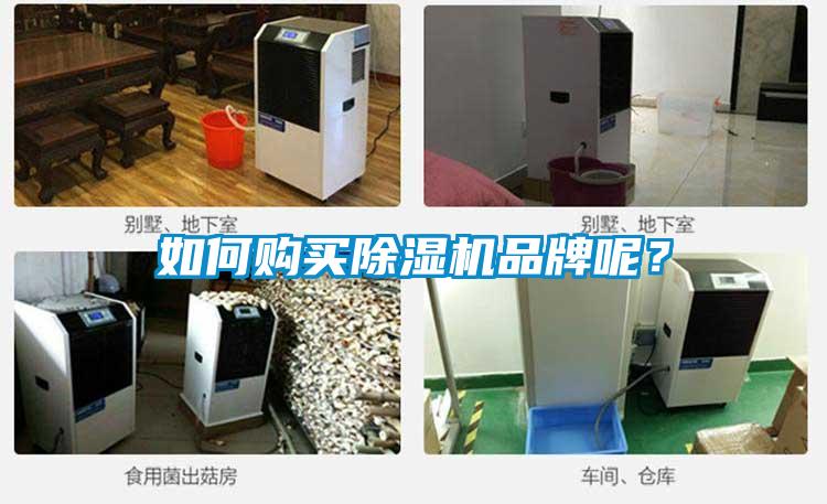 如何購(gòu)買除濕機(jī)品牌呢？