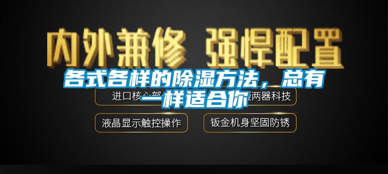 各式各樣的除濕方法，總有一樣適合你