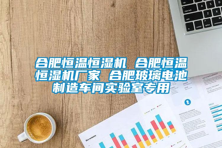 合肥恒溫恒濕機(jī) 合肥恒溫恒濕機(jī)廠家 合肥玻璃電池制造車(chē)間實(shí)驗(yàn)室專用