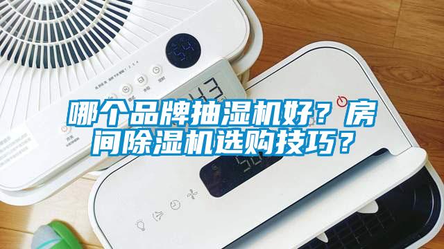 哪個品牌抽濕機好？房間除濕機選購技巧？