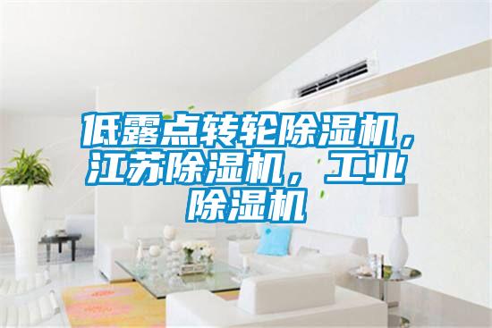 低露點(diǎn)轉(zhuǎn)輪除濕機(jī)，江蘇除濕機(jī)，工業(yè)除濕機(jī)