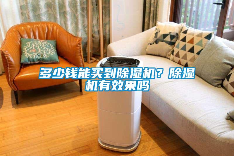 多少錢能買到除濕機(jī)？除濕機(jī)有效果嗎