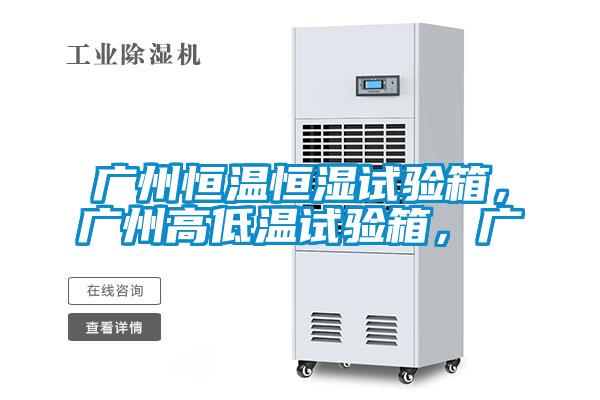 廣州恒溫恒濕試驗箱，廣州高低溫試驗箱，廣