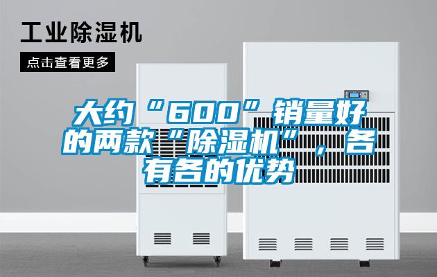 大約“600”銷量好的兩款“除濕機(jī)”，各有各的優(yōu)勢(shì)
