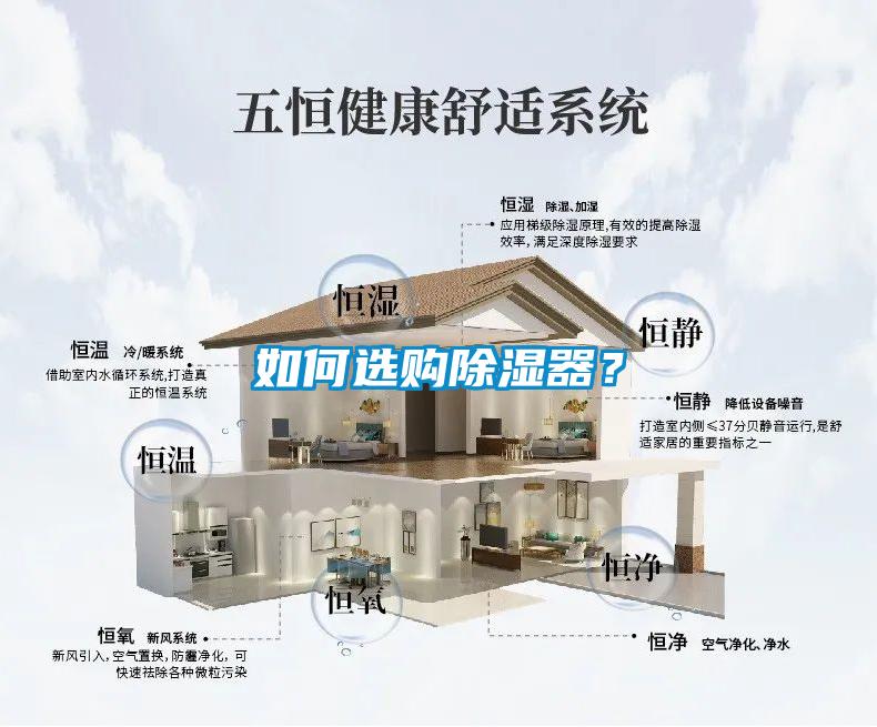 如何選購除濕器？