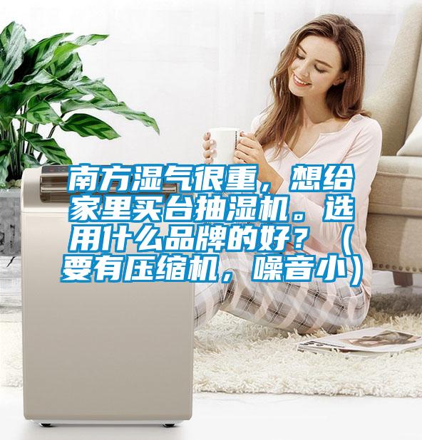南方濕氣很重，想給家里買(mǎi)臺(tái)抽濕機(jī)。選用什么品牌的好？（要有壓縮機(jī)，噪音?。?></div>
								<div   id=
