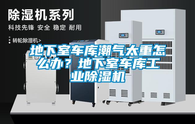 地下室車庫潮氣太重怎么辦？地下室車庫工業(yè)除濕機(jī)