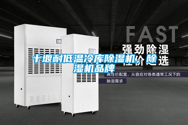 十堰耐低溫冷庫除濕機(jī)，除濕機(jī)品牌