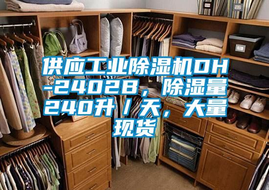 供應(yīng)工業(yè)除濕機(jī)DH-2402B，除濕量240升／天，大量現(xiàn)貨