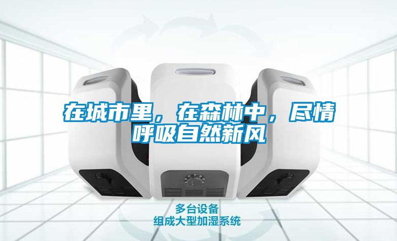 在城市里，在森林中，盡情呼吸自然新風(fēng)