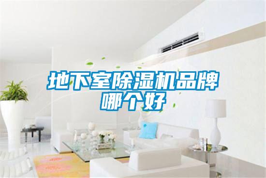 地下室除濕機(jī)品牌哪個好