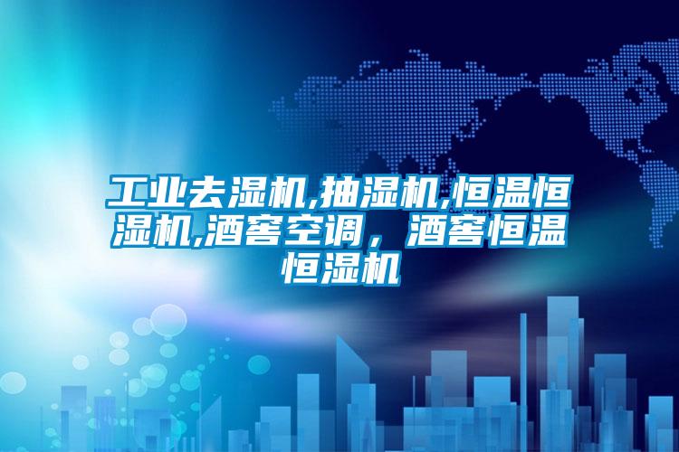 工業(yè)去濕機(jī),抽濕機(jī),恒溫恒濕機(jī),酒窖空調(diào)，酒窖恒溫恒濕機(jī)