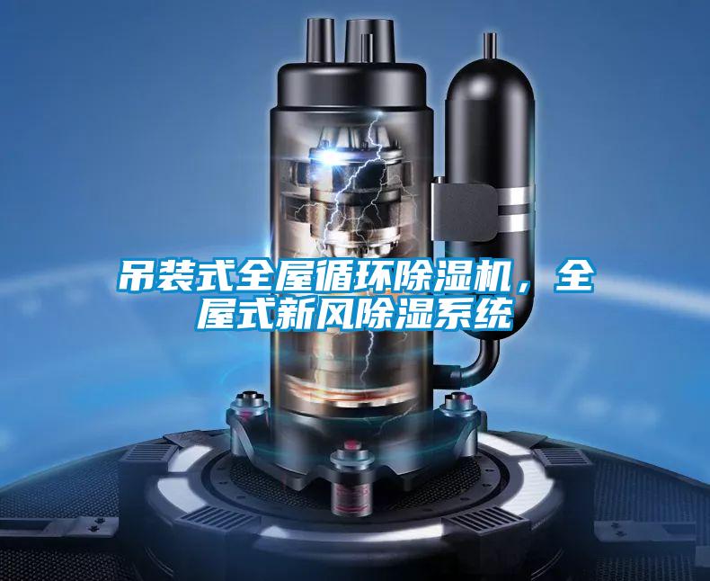 吊裝式全屋循環(huán)除濕機(jī)，全屋式新風(fēng)除濕系統(tǒng)