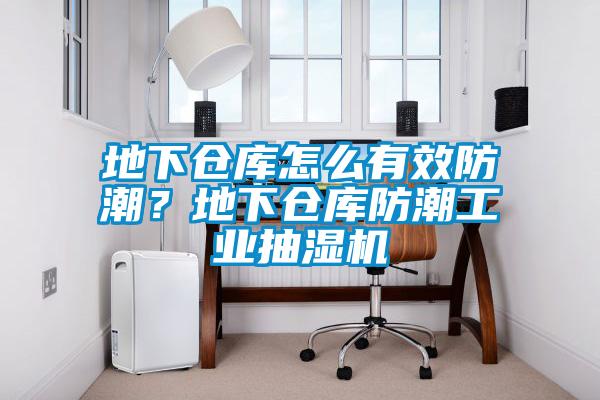 地下倉庫怎么有效防潮？地下倉庫防潮工業(yè)抽濕機(jī)