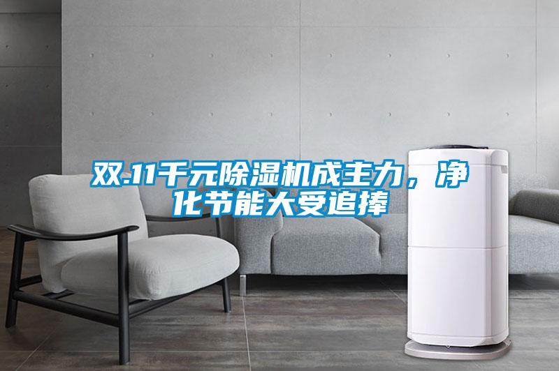 雙.11千元除濕機(jī)成主力，凈化節(jié)能大受追捧