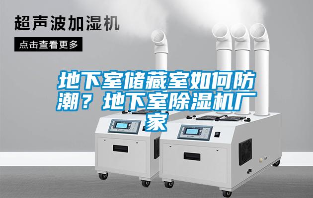 地下室儲(chǔ)藏室如何防潮？地下室除濕機(jī)廠家