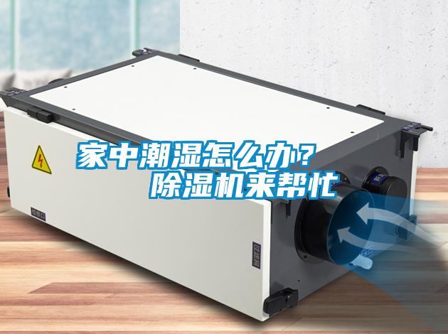 家中潮濕怎么辦？    除濕機(jī)來幫忙