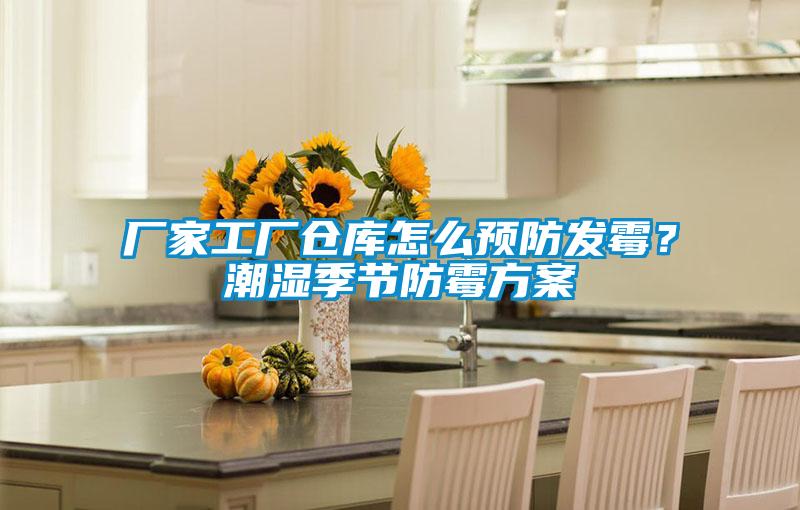 廠家工廠倉庫怎么預(yù)防發(fā)霉？潮濕季節(jié)防霉方案