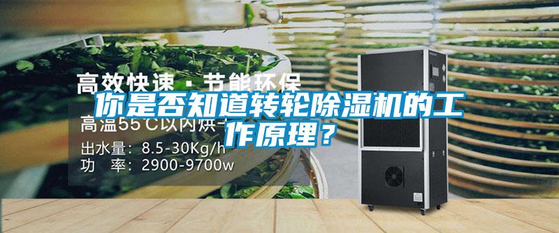 你是否知道轉(zhuǎn)輪除濕機(jī)的工作原理？