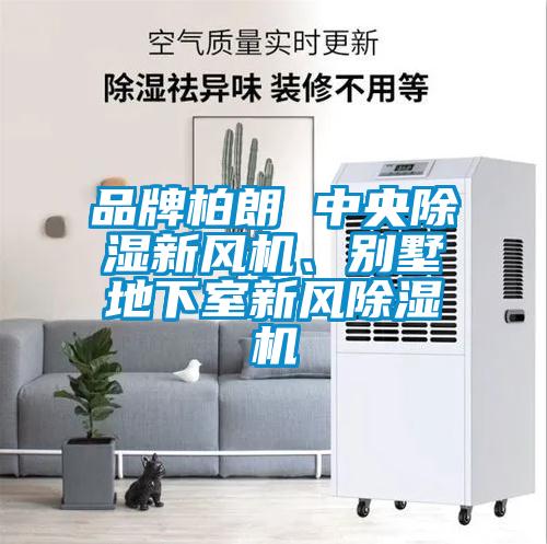 品牌柏朗 中央除濕新風(fēng)機、別墅地下室新風(fēng)除濕機