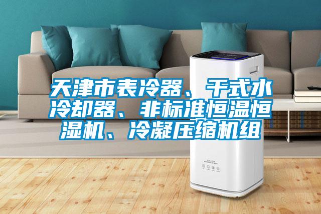 天津市表冷器、干式水冷卻器、非標(biāo)準(zhǔn)恒溫恒濕機(jī)、冷凝壓縮機(jī)組