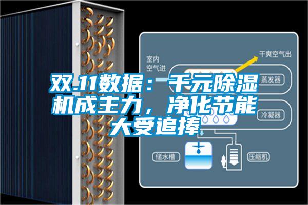雙.11數(shù)據(jù)：千元除濕機(jī)成主力，凈化節(jié)能大受追捧
