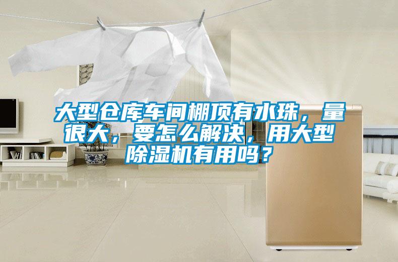 大型倉庫車間棚頂有水珠，量很大，要怎么解決，用大型除濕機(jī)有用嗎？