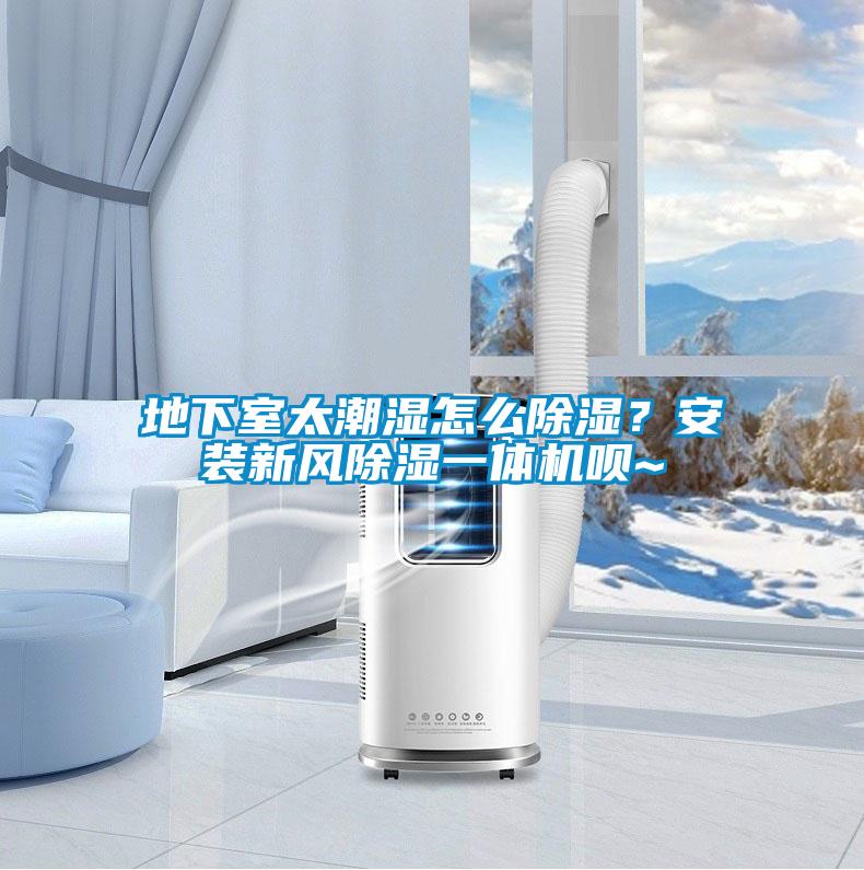 地下室太潮濕怎么除濕？安裝新風(fēng)除濕一體機(jī)唄~