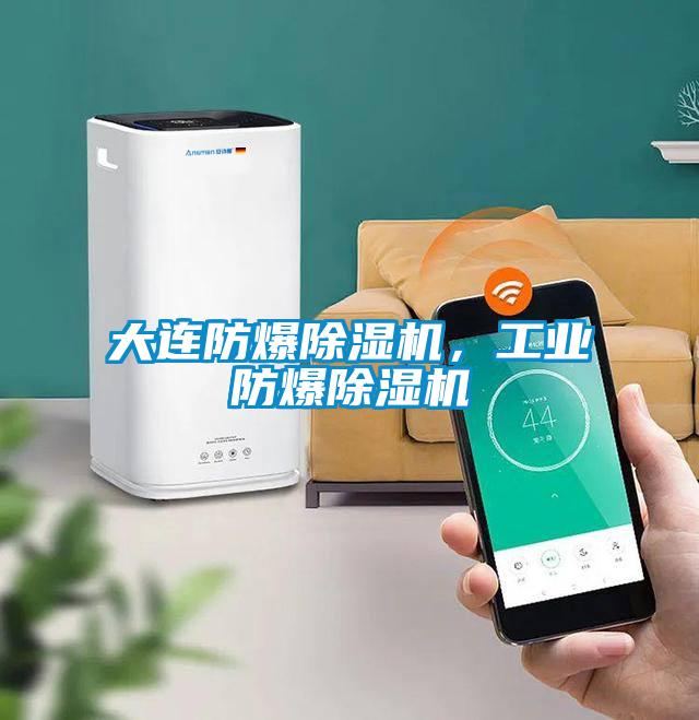大連防爆除濕機，工業(yè)防爆除濕機